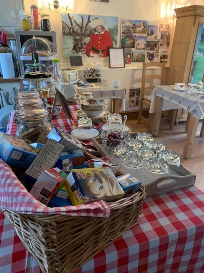 Hotel The Reindeer Retreat Buttercup Twin Kidwelly Exteriér fotografie